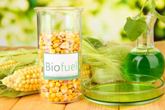 New Boston biofuel availability